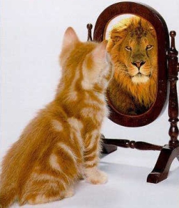 cat_lion_mirror